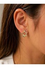 Noirlin Jewelery Taşlı Yıldız Halka Küpe Paslanmaz Çelik Gold